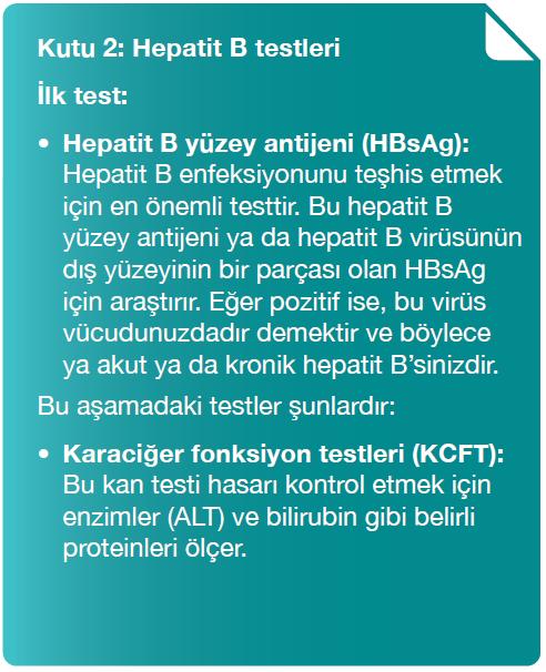 Hepatit B Olup Olmadığınızı Nasıl Anlarsınız? Hepatit B Belirtileri Ve ...